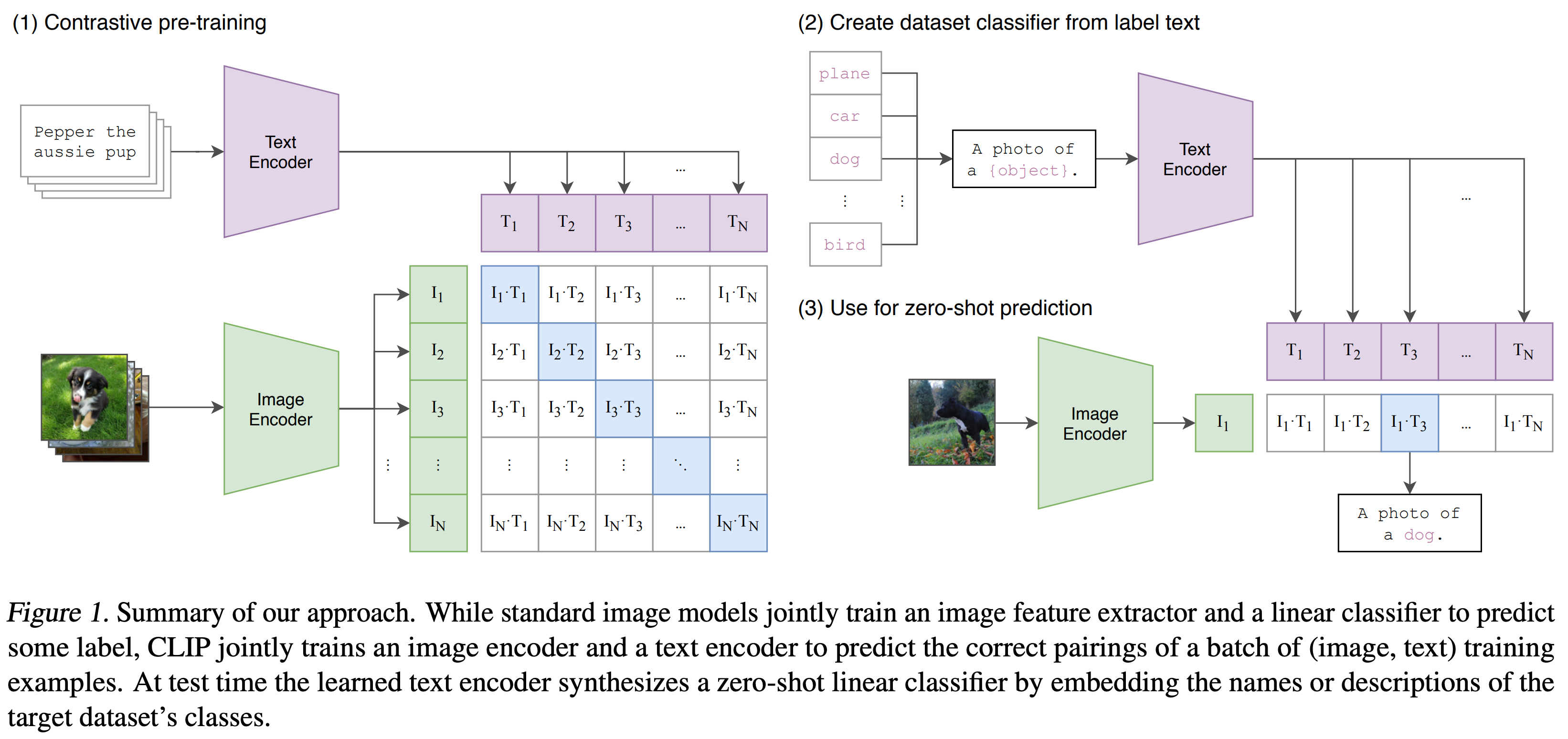 Vision Large Language Models (vLLMs)