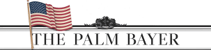 The Palm Bayer: Palm Bay Focused News  📰