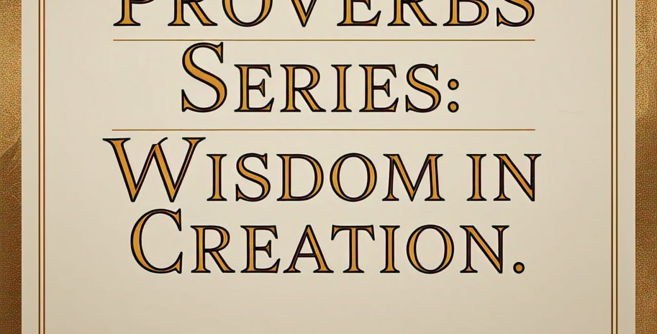 The Proverbs Series: God's Wisdom in Creation