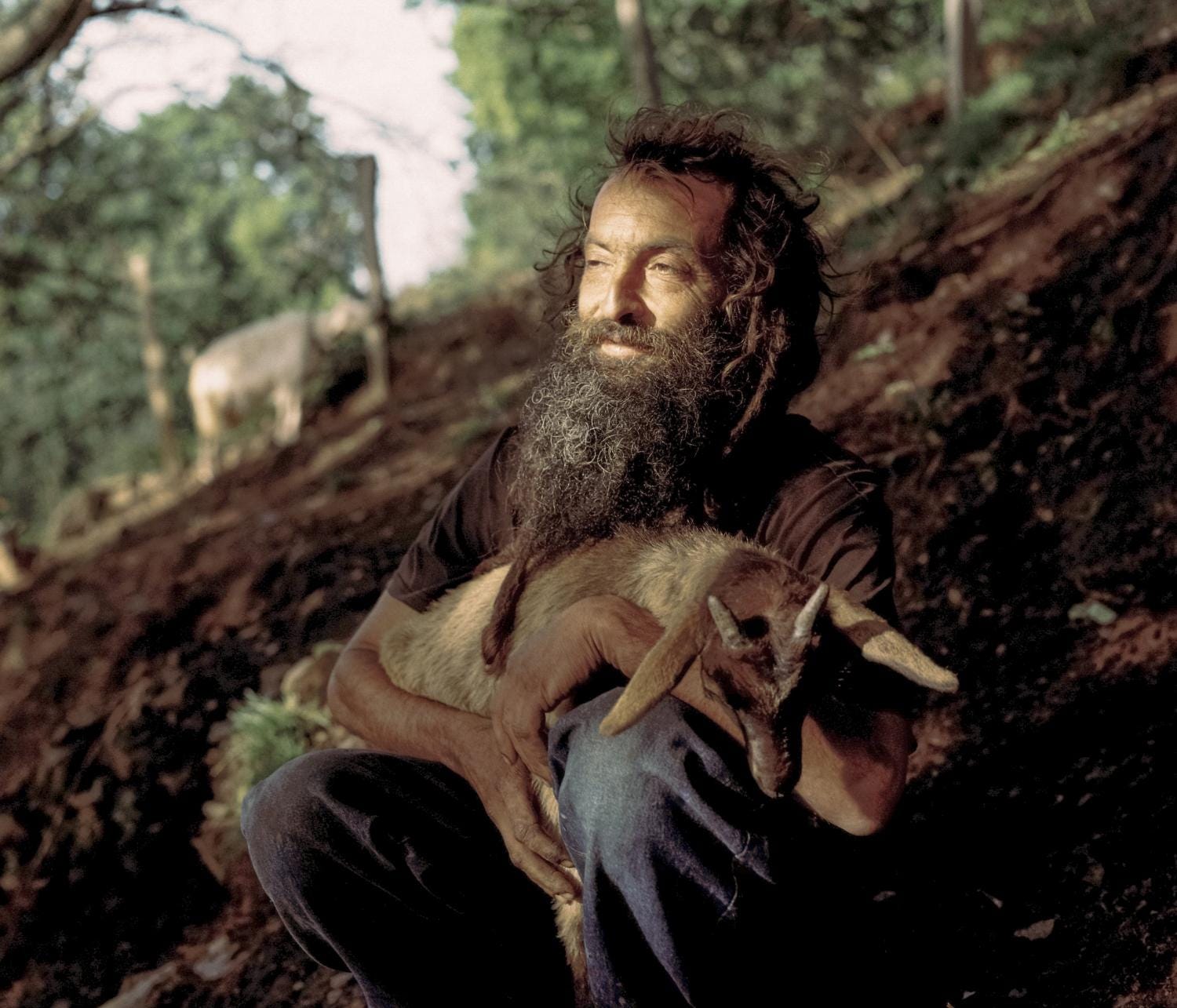 Nacho, a goat-herder. Carlos Folgoso Sueiro Nacho, a goat-herder. Carlos Folgoso Sueiro