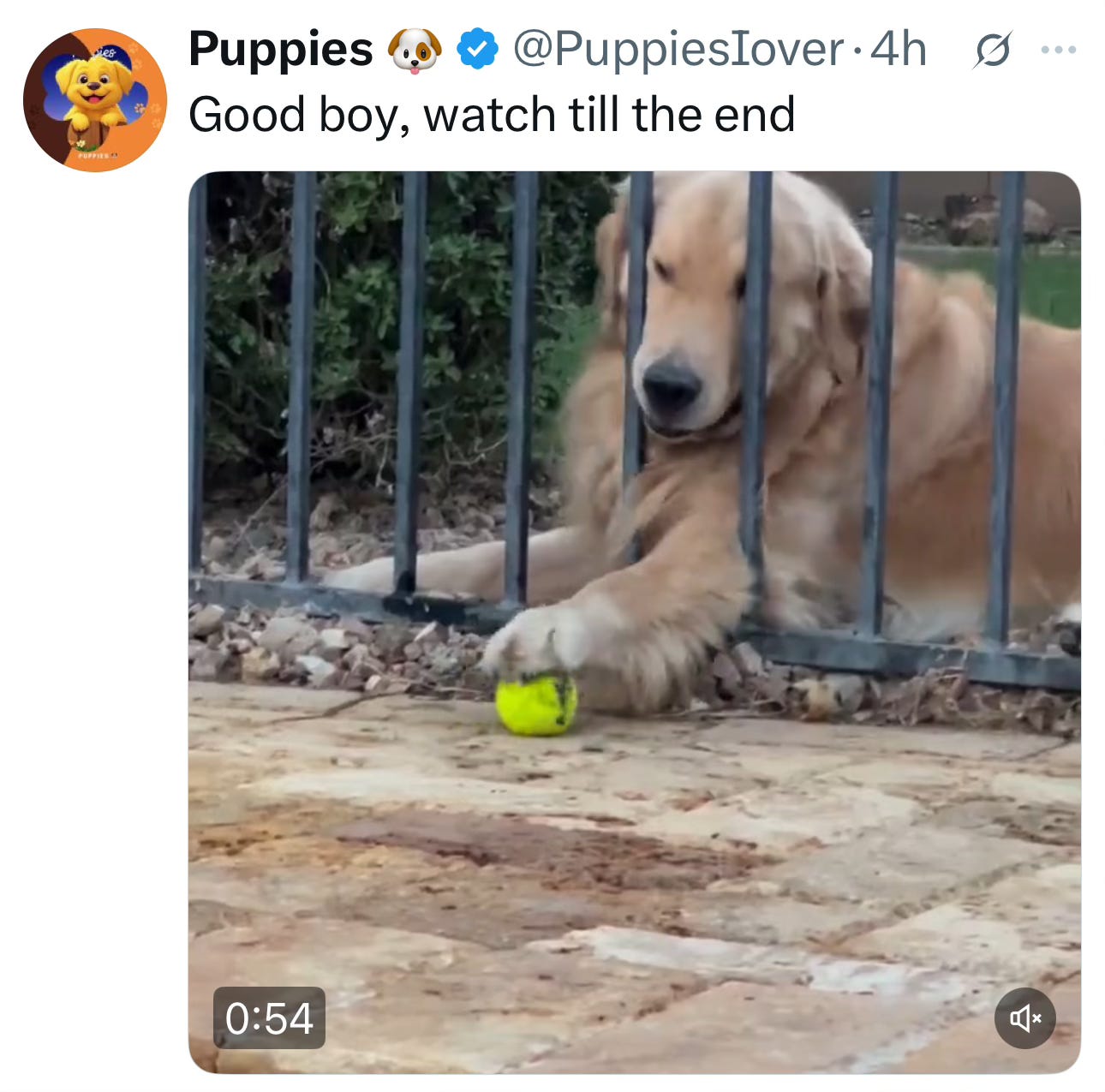 Image.heic Image.heic