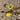 Lawrence's avatar