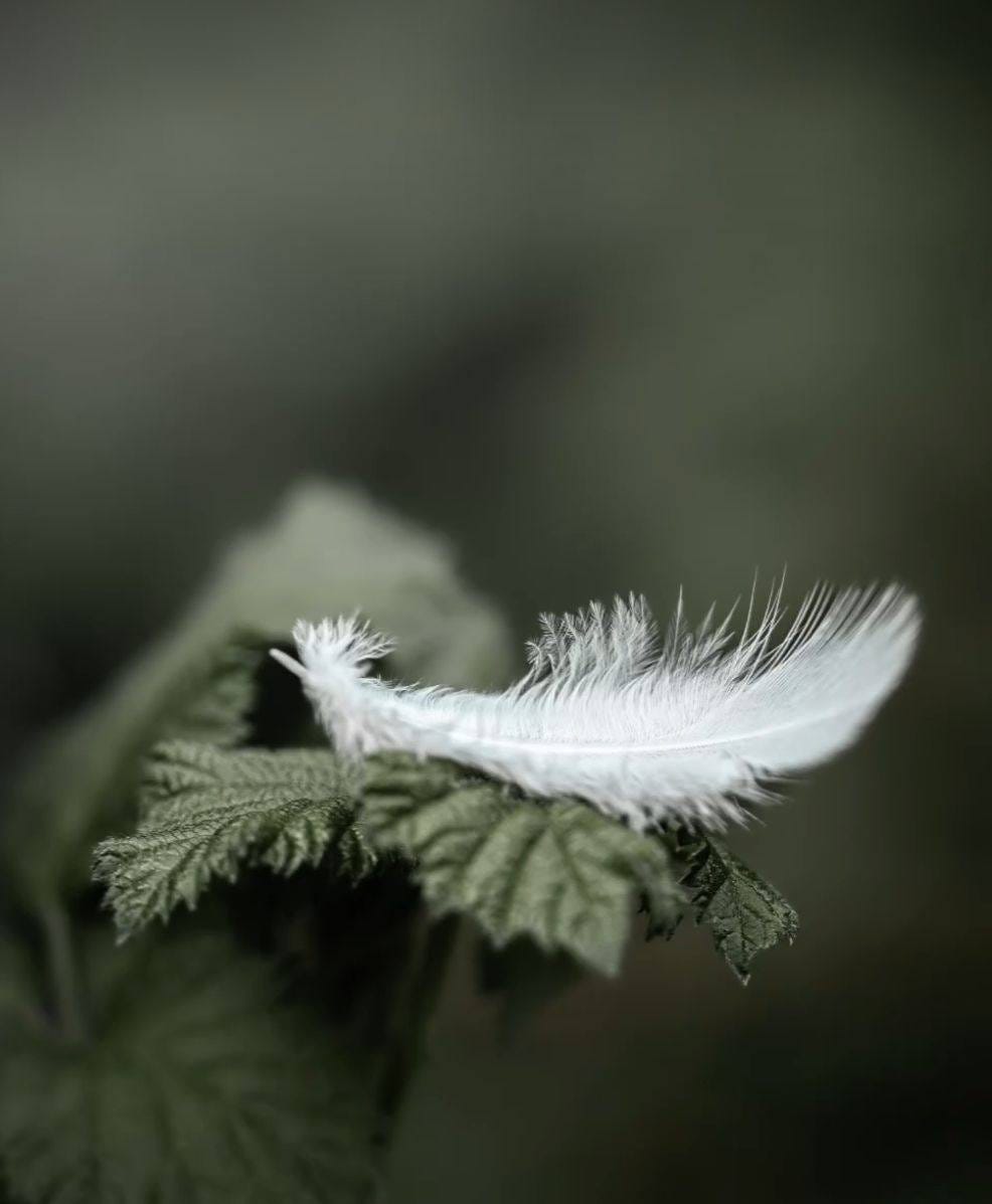 No photo description available.