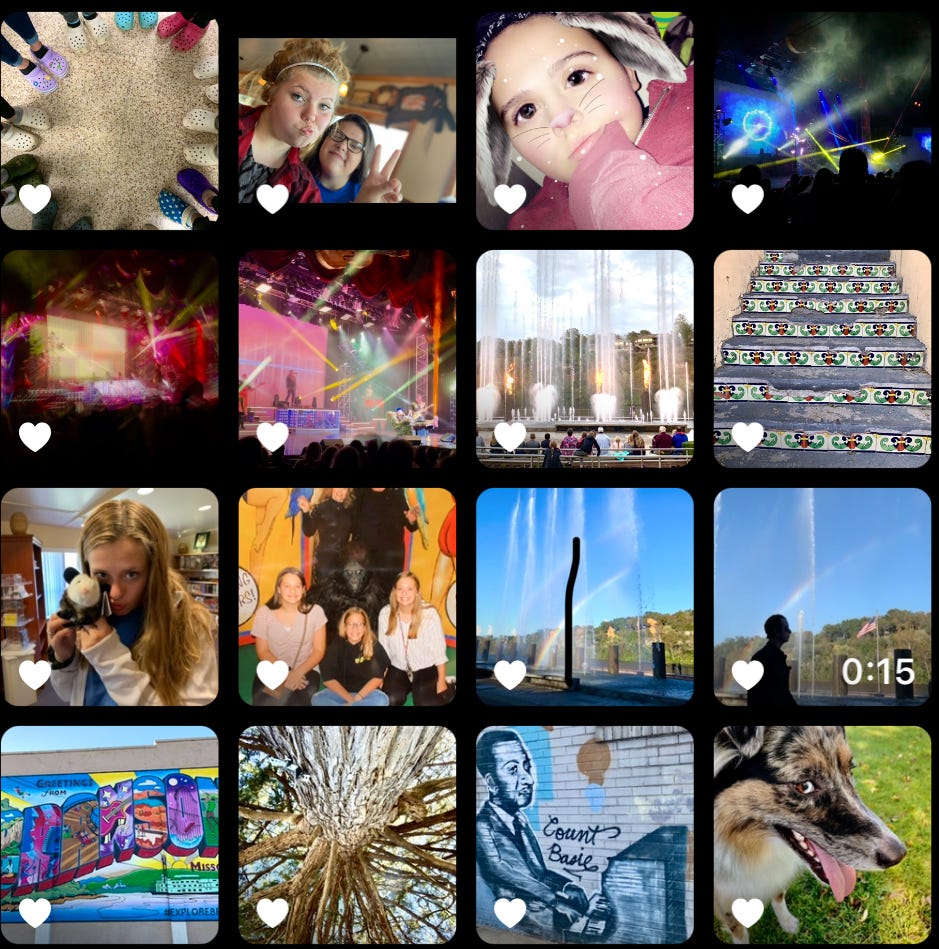 Camera Roll by Madalynn Mumme