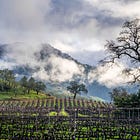 Under the Hood: As Wineries Close, Napa’s License Count Surges