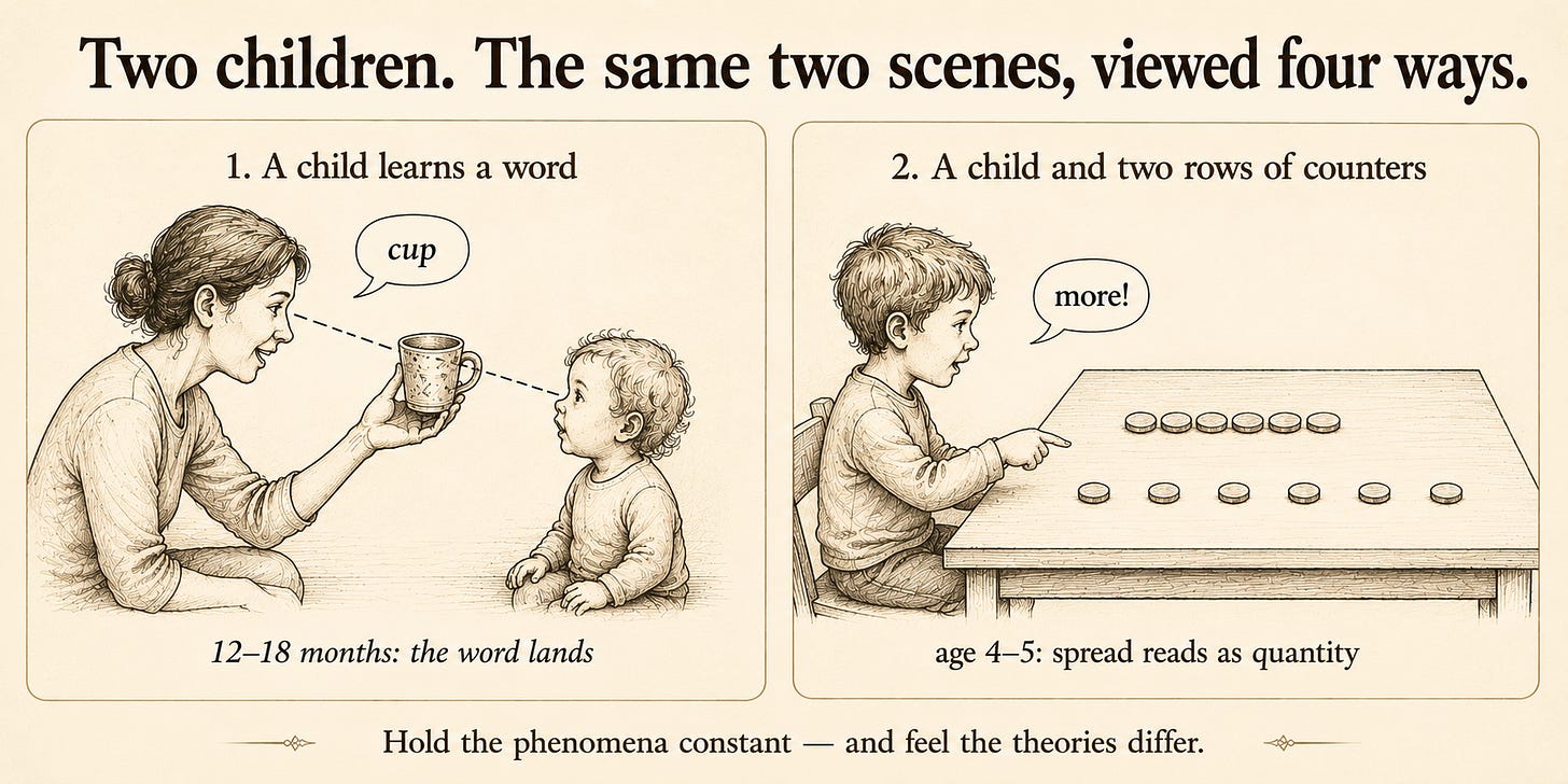 Two side-by-side line-sketch panels. Left ("A child learns a word"): a toddler and an adult who holds up a cup and says "cup," with dashed shared-gaze lines from both faces to the cup. Right ("A child and two rows of counters"): a seated four-year-old at a table with two rows of six counters — the top row lined up one-to-one, the bottom row spread out longer — pointing at the longer row and saying "more!"