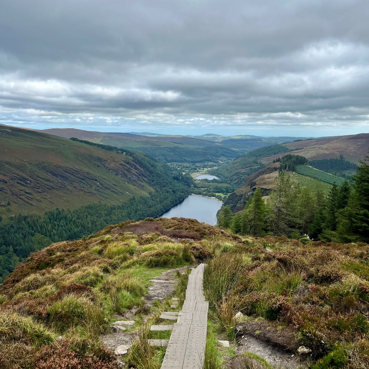 Artwork for Wannabe Foodie