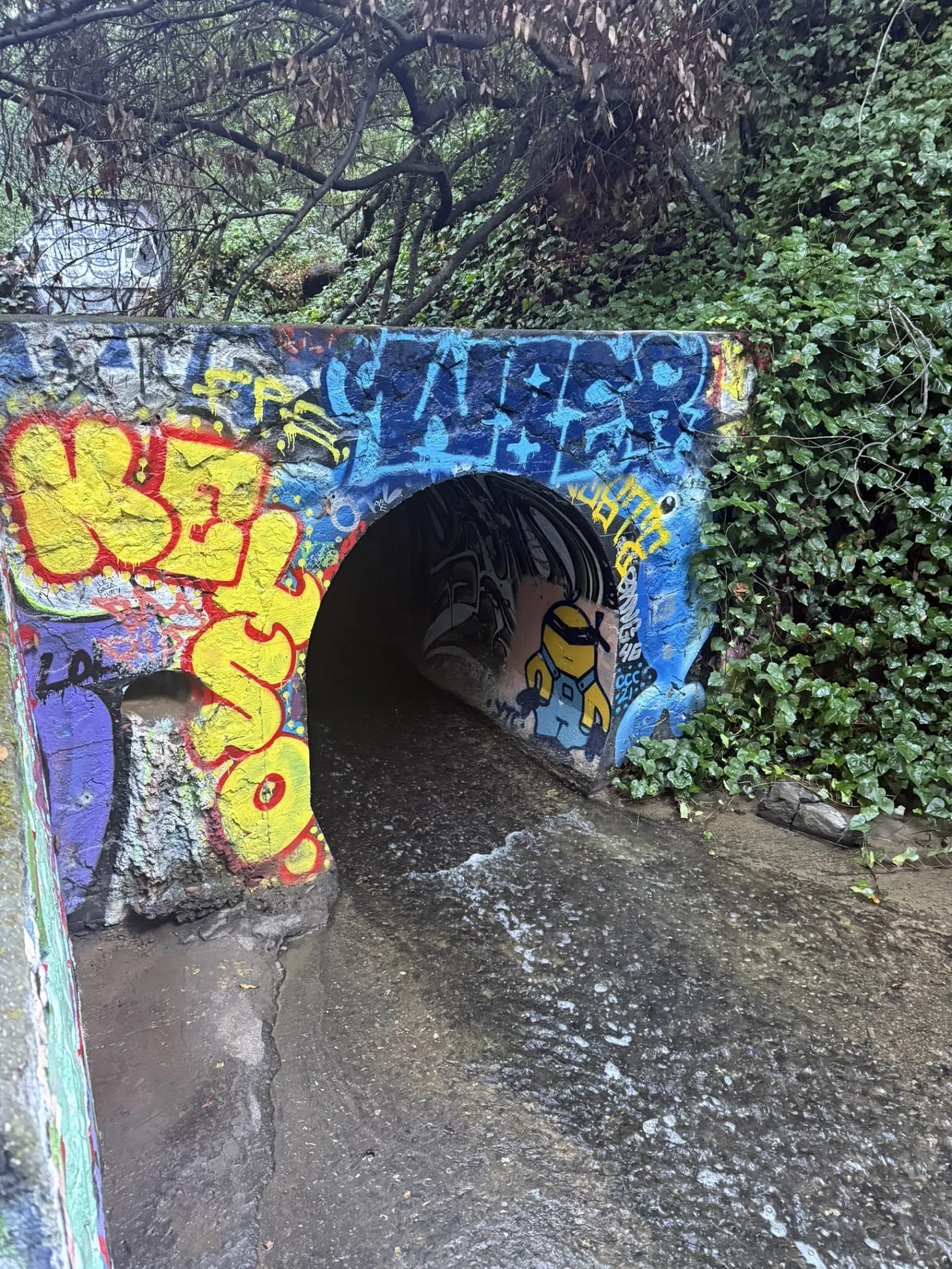 A culvert sits above a spillway on Sausal creek. Much of the channeling infrastructure in Dimond Canyon dates back to the Works Progress Administration (WPA) era of the 1930s. (Photo: Michelle Hernandez / AllTrails) A culvert sits above a spillway on Sausal creek. Much of the channeling infrastructure in Dimond Canyon dates back to the Works Progress Administration (WPA) era of the 1930s. (Photo: Michelle Hernandez / AllTrails)