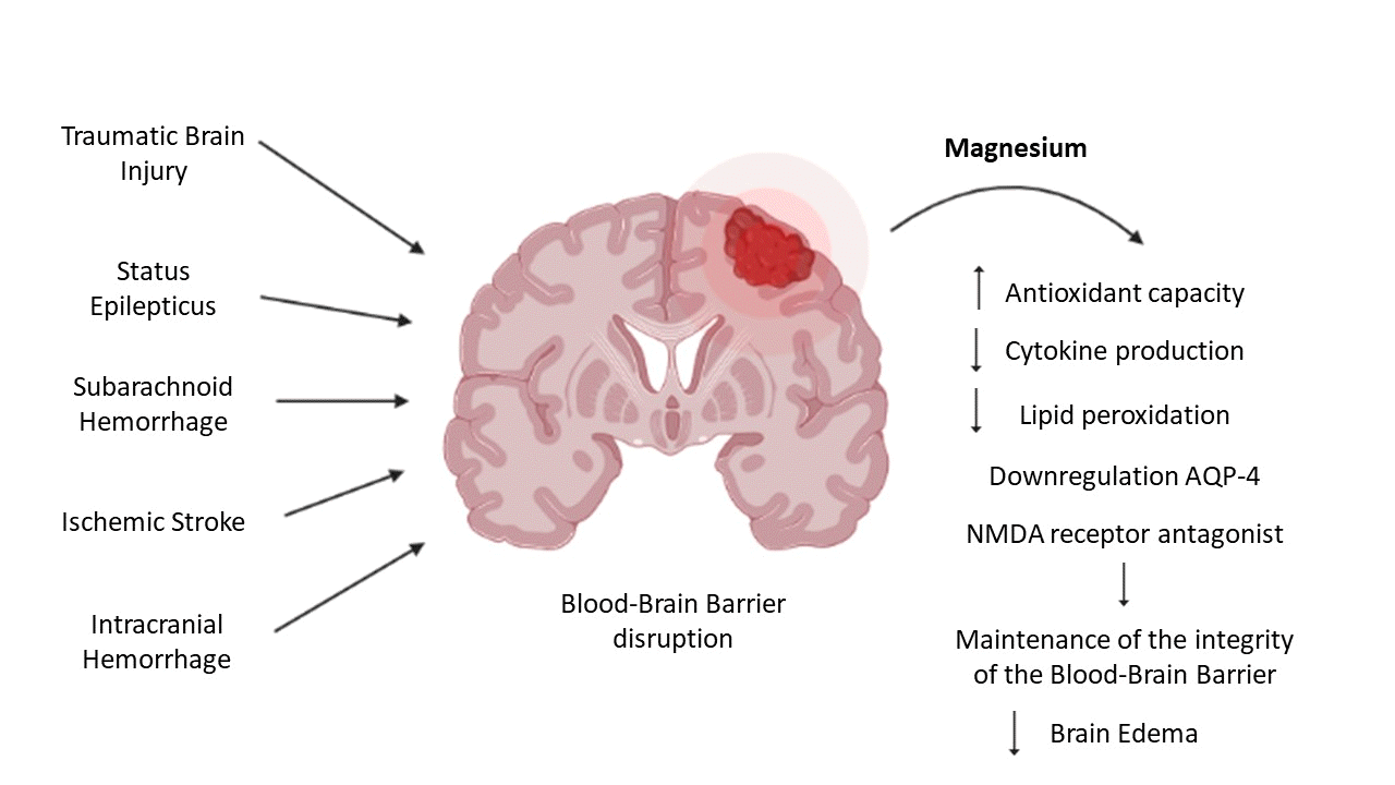 Journal of Neurocritical Care
