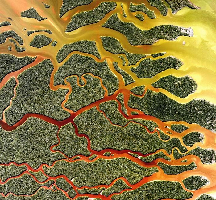 You and I make an Earth-like planet