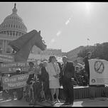 The AP (Alex Pareene) Newsletter