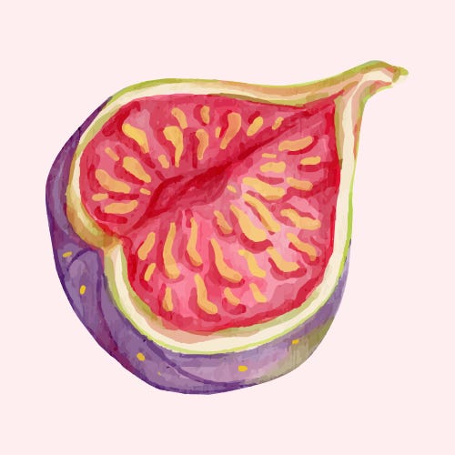 figs on the front porch logo