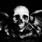 Ausiàs Tsel's avatar