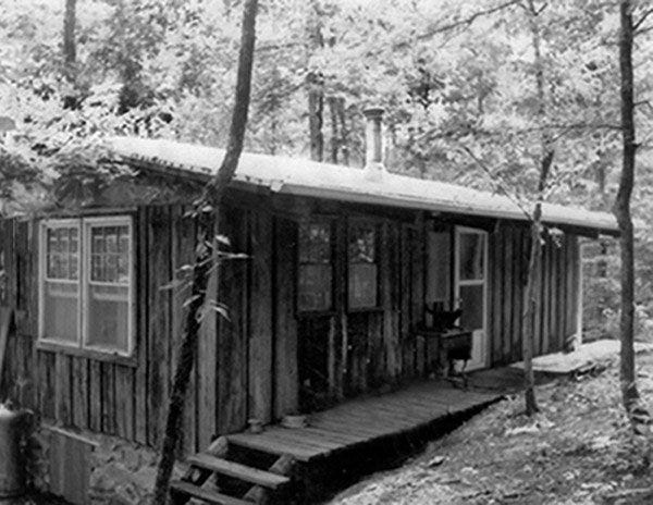 Shelves and cabin