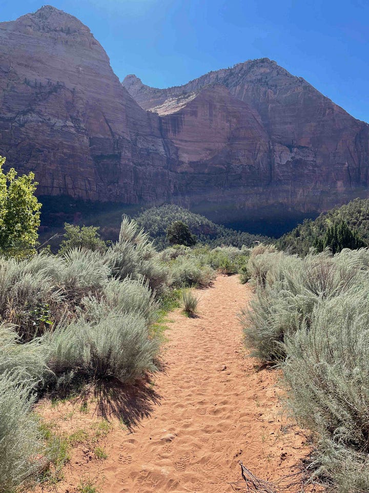 Photos of Zion and Bryce NP by Sabrina Simpson