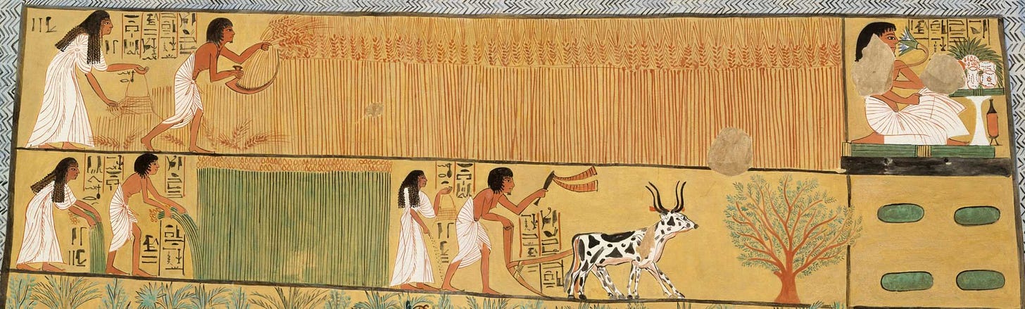 Sennedjem and Iineferti farming wheat in ancient Egypt