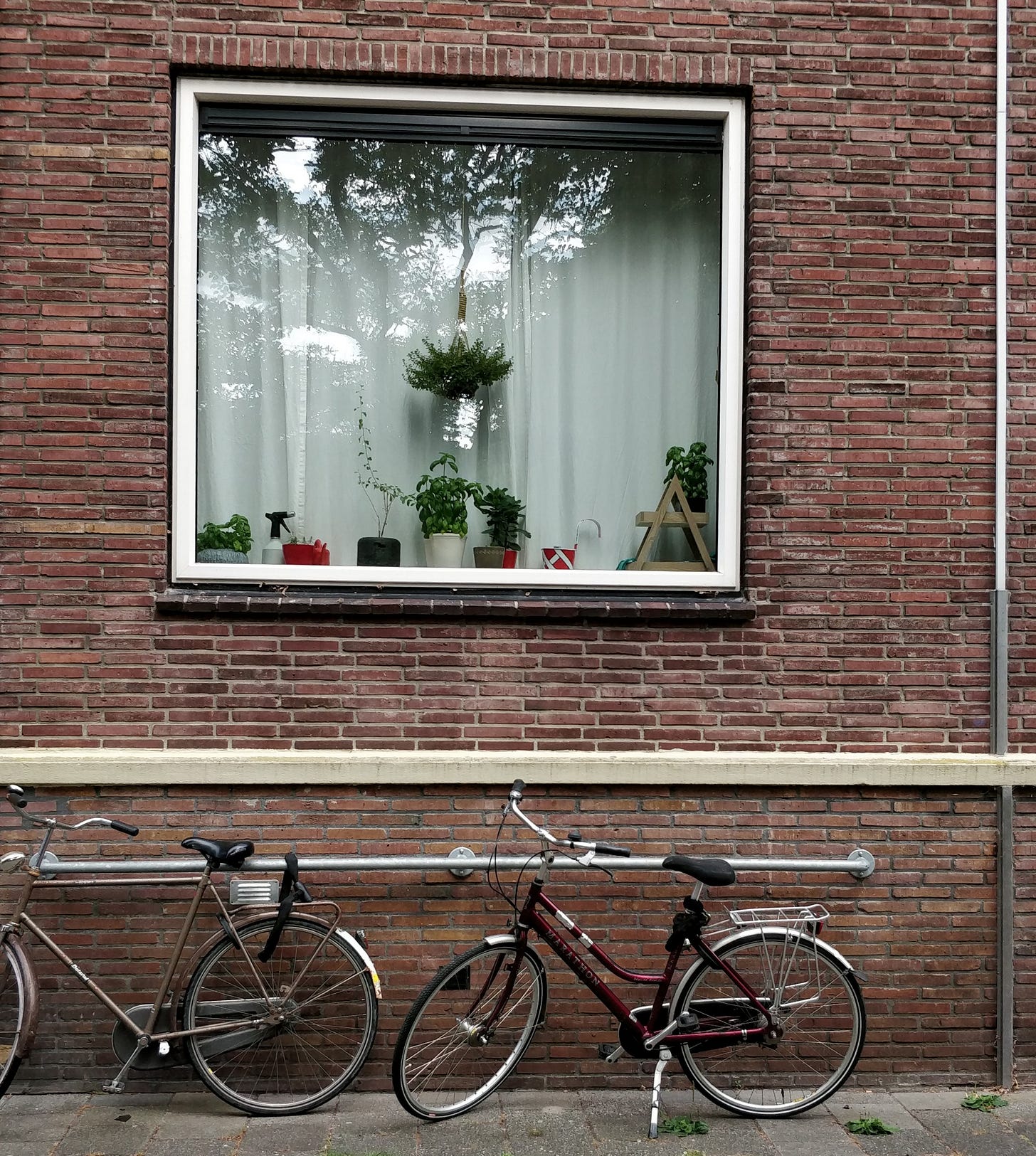 Photo of window of an apartment with two bicycles standing in front