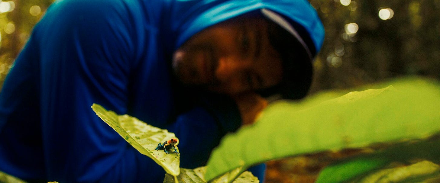 Marteria Der Wald ist nicht genug Reisen Reisen der Podcast