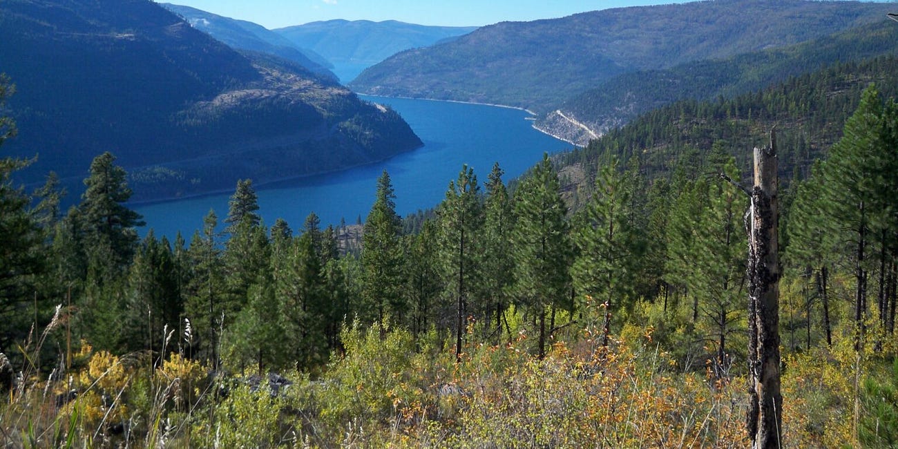 Environmental Policy Group Sues DOJ Over Withheld Communications with Canadian Coal Company