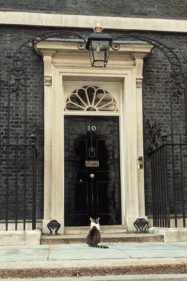 Larry the Cat waiting to be let into No. 10 Downing Street, London