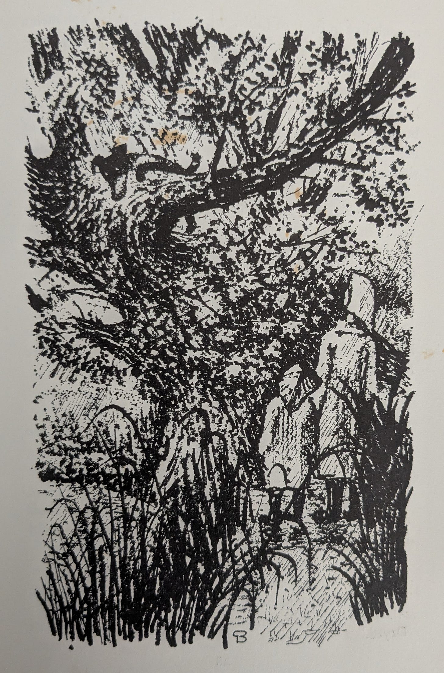 Peter Boston Illustration from Nothing Said by Lucy Boston