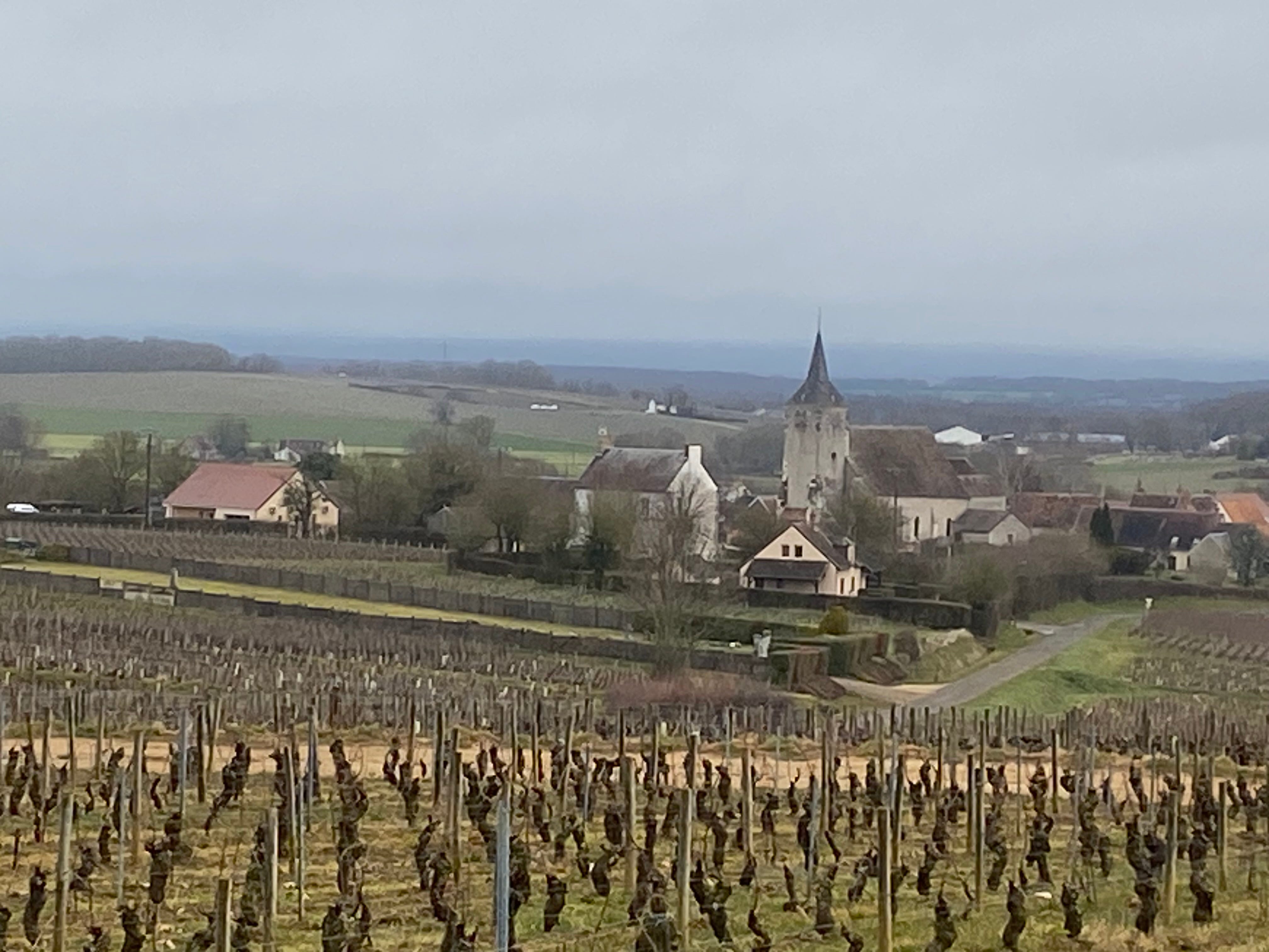 The B-Side of Sancerre - by Brett Vankoski