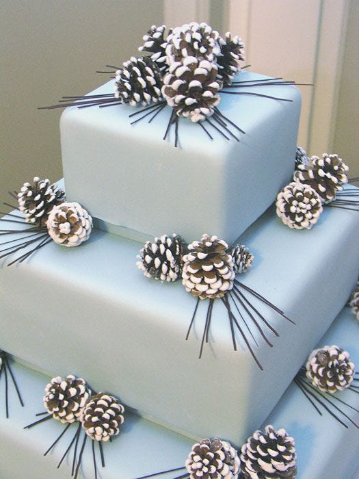 Baby blue wedding cake with frosted pinecones and chocolate pine needles Baby blue wedding cake with frosted pinecones and chocolate pine needles