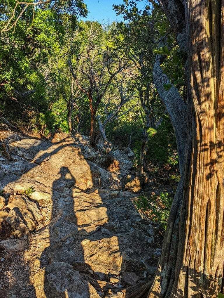 shadow dropping down