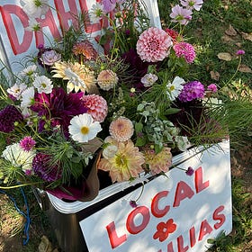 Sharing All My Favorite Spots in Connecticut