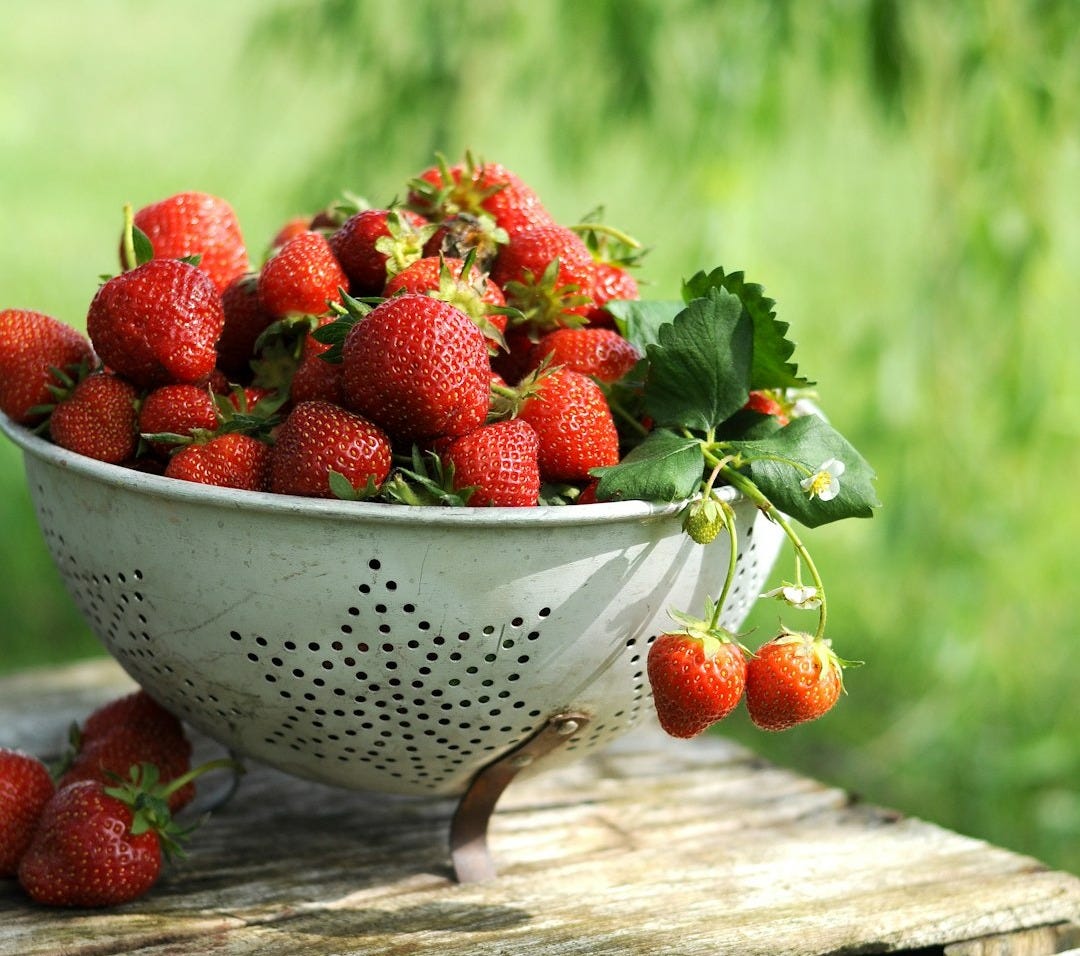 a white colander filled with lots of ripe strawberries