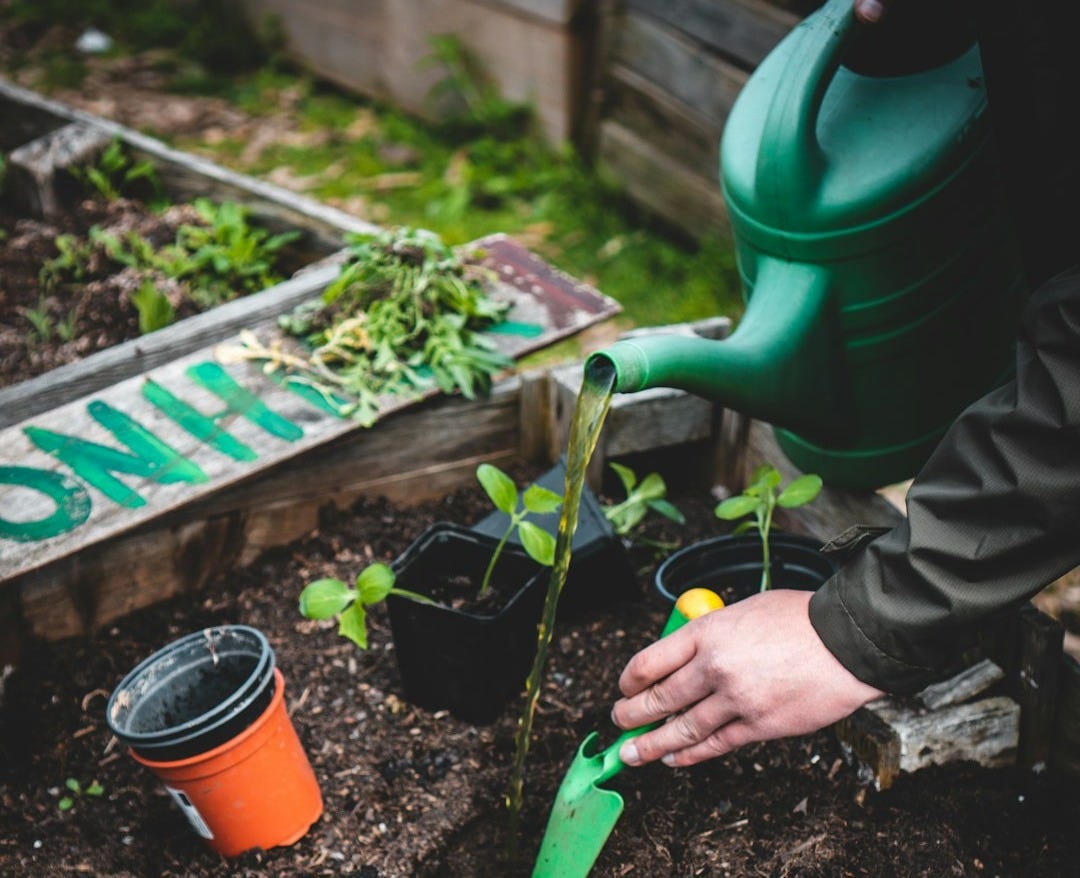 person holding green plastic shovel person holding green plastic shovel