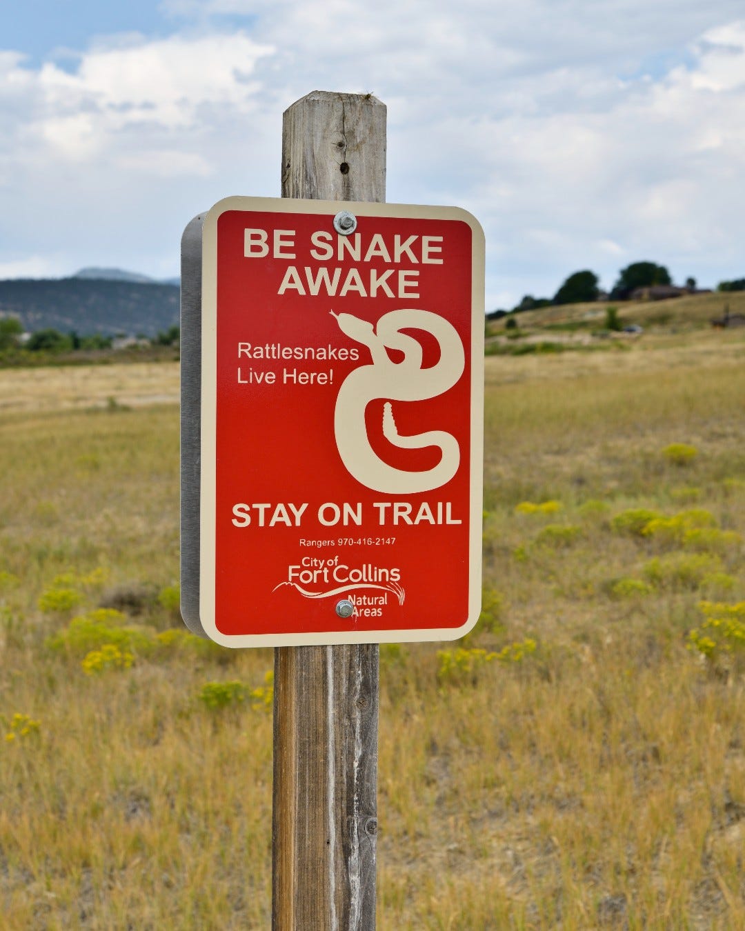 Warning sign in Fort Collins reading "BE SNAKE AWAKE! Rattlesnakes Live Here! STAY ON TRAIL" with a graphic of a coiled snake, mounted on a wooden post in a grassy field.