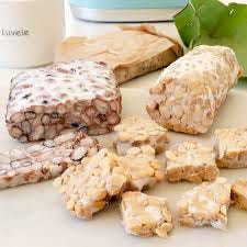 Make Fresh Tempeh in Your Luvele Yogurt Maker - Luvele DE