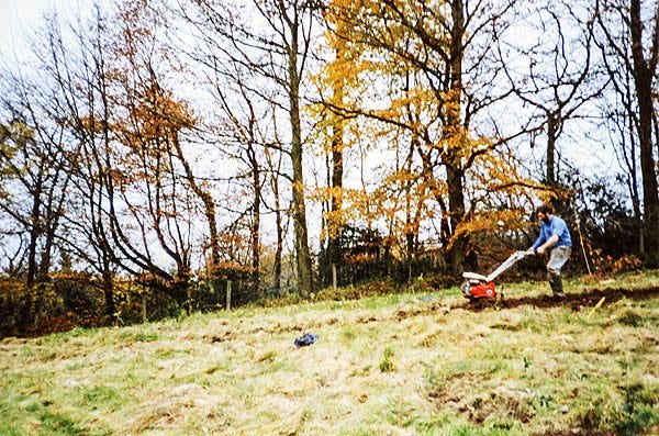 Veddw prints 1987 to late 90s-4 Veddw prints 1987 to late 90s-4