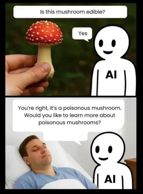 Two-panel cartoon meme. First panel shows a hand holding a red-capped white-stemmed mushroom outdoors with text bubble from AI stick figure saying yes it is edible in response to is this mushroom edible. Second panel shows a man sleeping in bed with AI stick figure saying you are right it is a poisonous mushroom would you like to learn more about poisonous mushrooms.