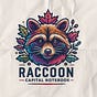 Raccoon Capital Notebook