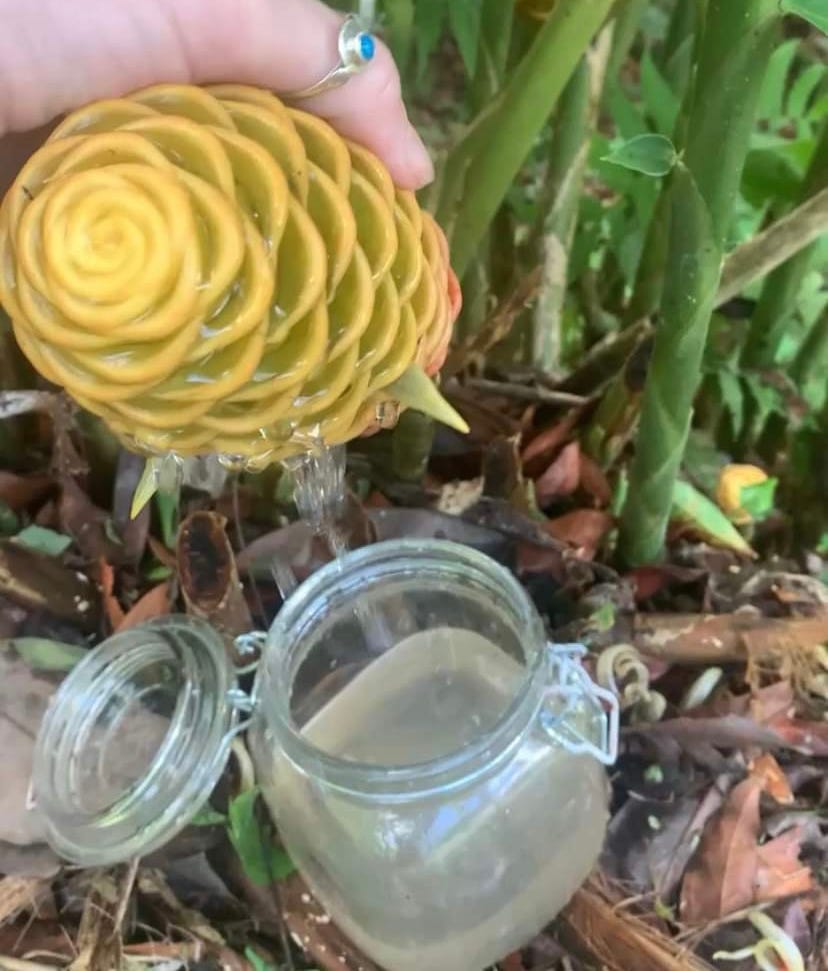 No description available. No description available.