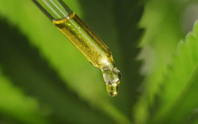 Cannabis derivatives, CBD and brain tumour treatment