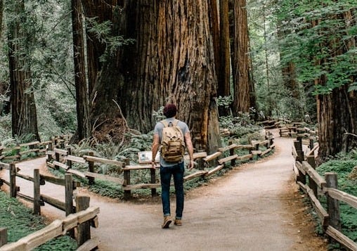man wearing gray T-shirt standing on forest man wearing gray T-shirt standing on forest