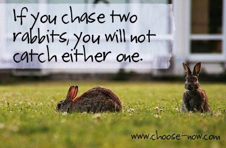 Figure 1-0 If you chase two rabbits, you won't catch one