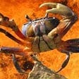 🦀 Anonymous Crab 🦀's avatar