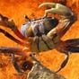 🦀 Anonymous Crab 🦀's avatar