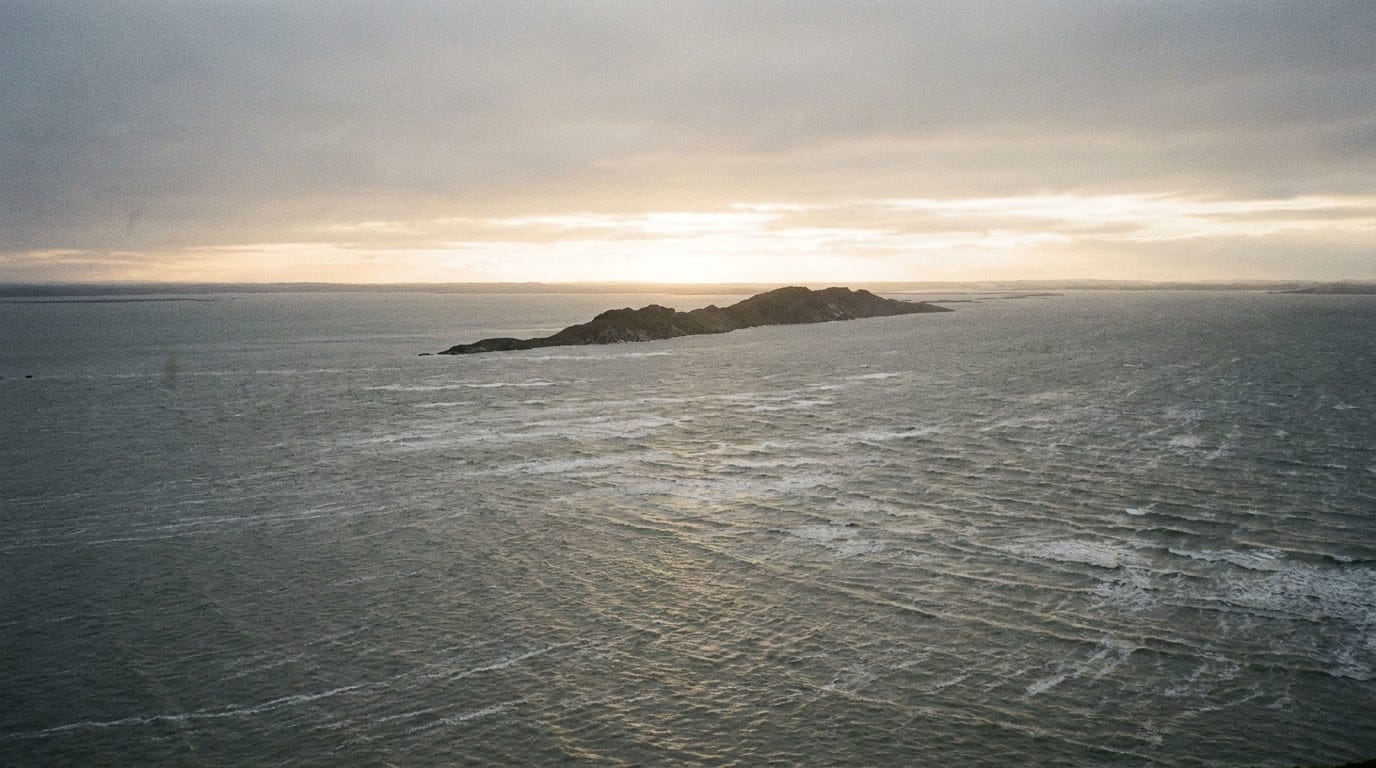 A strong wind sweeping across a vast grey floodwater at dawn, the first dark ridge of a mountaintop breaking the surface, pale light along the horizon, no ark, no people, no faces, no text A strong wind sweeping across a vast grey floodwater at dawn, the first dark ridge of a mountaintop breaking the surface, pale light along the horizon, no ark, no people, no faces, no text
