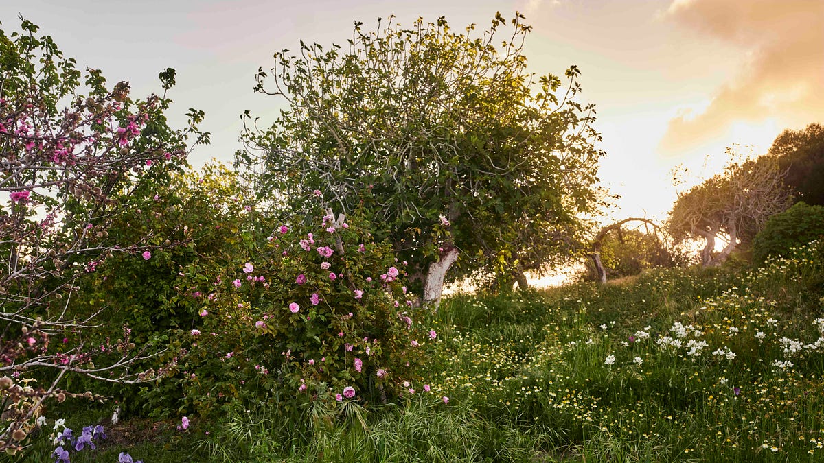 20a50b27-1ae9-457f-8505-