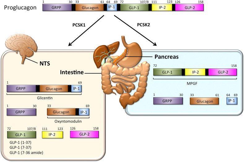 Figure 1 Figure 1