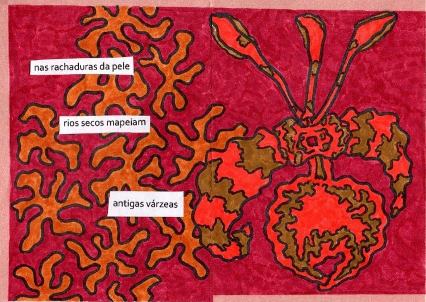 bom, é uma página dupla de uma mini zine scaneada. não vai ser fácil de descrever, mas vamos lá. tudo é vermelho, laranja, algumas bordas rosas. Do lado direito, uma orquídea desenhada à mão no estilo mais pop que você consegue imaginar. Ela parece uma bala de gelatina se fabricantes de balas de gelatina fossem fortes o bastante pra fazer formatos esquisitos costumeiramente associados com pepecas. mas isso não tem nada a ver com pepeca. é uma flor estranha que não sei descrever direito. O centro dela é mesmo meio pepecudo, mas isso não importa pra essa imagem. Importam as duas pétalas enormes e simétricas que saem uma de cada lado. E importa a outra pétala, nada simétrica, que fica na parte debaixo do desenho, formando quase um círculo completo, mas um círculo feito por uma pessoa completamente bêbada. Todo o traço é ondulado. A ondulação é o que importa. A ondulação de um vermelho vivo quase laranja, daquelas coisas que você não acredita que existem até você topar com uma delas. A ondulação de um amarelo escuro que beira ao ouro velho. Saem três pétalas manchadas que parecem antenas dessa flor. Tudo nessas duas cores. O vermelho é o principal. Ao fundo, tudo é de um vermelho escuro que parece veludo, que tem gosto de vinho tinto daqueles descritos como encorpados e complexos. Ele toma as duas páginas, deixando só a flor estourada do lado direito, mas do lado esquerdo… do lado esquerdo existem formas. Formas também meio bêbadas, meio manchas meio flores meio estrelas meio raizes e isso já são quatro meios diferentes. Elas são de um laranja também escuro, não disputam espaço com a flor. Elas se espalham pela página esquerda, só uma entra um pouco na página direita, é sobreposta pela flor. Elas têm a ver, é o ondulado do traço, a textura aveludada de tudo. as bordas são num rosa velho, a única coisa mais lisa, é uma fita. Não são todas as bordas, só algumas. Lado esquerdo, cima, metade direita da parte debaixo. Tudo compõe, tudo é tom sobre tom. Notas como o trompete de Miles Davis. Salta um papel branco, do lado esquerdo, em cima das formas, em cima de tudo. Um papel, não, três filetes de papel, folha sulfite. Três filetes, três versos. Eles dizem assim: nas rachaduras da pele rios secos mapeiam antigas várzeas bom, é uma página dupla de uma mini zine scaneada. não vai ser fácil de descrever, mas vamos lá. tudo é vermelho, laranja, algumas bordas rosas. Do lado direito, uma orquídea desenhada à mão no estilo mais pop que você consegue imaginar. Ela parece uma bala de gelatina se fabricantes de balas de gelatina fossem fortes o bastante pra fazer formatos esquisitos costumeiramente associados com pepecas. mas isso não tem nada a ver com pepeca. é uma flor estranha que não sei descrever direito. O centro dela é mesmo meio pepecudo, mas isso não importa pra essa imagem. Importam as duas pétalas enormes e simétricas que saem uma de cada lado. E importa a outra pétala, nada simétrica, que fica na parte debaixo do desenho, formando quase um círculo completo, mas um círculo feito por uma pessoa completamente bêbada. Todo o traço é ondulado. A ondulação é o que importa. A ondulação de um vermelho vivo quase laranja, daquelas coisas que você não acredita que existem até você topar com uma delas. A ondulação de um amarelo escuro que beira ao ouro velho. Saem três pétalas manchadas que parecem antenas dessa flor. Tudo nessas duas cores. O vermelho é o principal. Ao fundo, tudo é de um vermelho escuro que parece veludo, que tem gosto de vinho tinto daqueles descritos como encorpados e complexos. Ele toma as duas páginas, deixando só a flor estourada do lado direito, mas do lado esquerdo… do lado esquerdo existem formas. Formas também meio bêbadas, meio manchas meio flores meio estrelas meio raizes e isso já são quatro meios diferentes. Elas são de um laranja também escuro, não disputam espaço com a flor. Elas se espalham pela página esquerda, só uma entra um pouco na página direita, é sobreposta pela flor. Elas têm a ver, é o ondulado do traço, a textura aveludada de tudo. as bordas são num rosa velho, a única coisa mais lisa, é uma fita. Não são todas as bordas, só algumas. Lado esquerdo, cima, metade direita da parte debaixo. Tudo compõe, tudo é tom sobre tom. Notas como o trompete de Miles Davis. Salta um papel branco, do lado esquerdo, em cima das formas, em cima de tudo. Um papel, não, três filetes de papel, folha sulfite. Três filetes, três versos. Eles dizem assim: nas rachaduras da pele rios secos mapeiam antigas várzeas