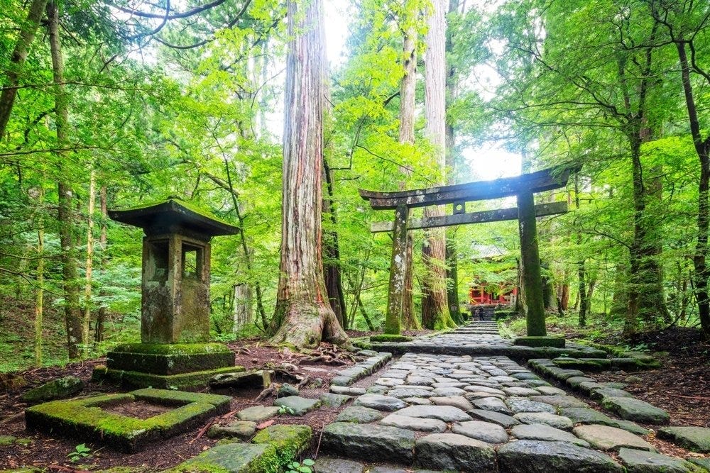 The Invisible Line: Why Japan Draws Boundaries Around Empty Ground?