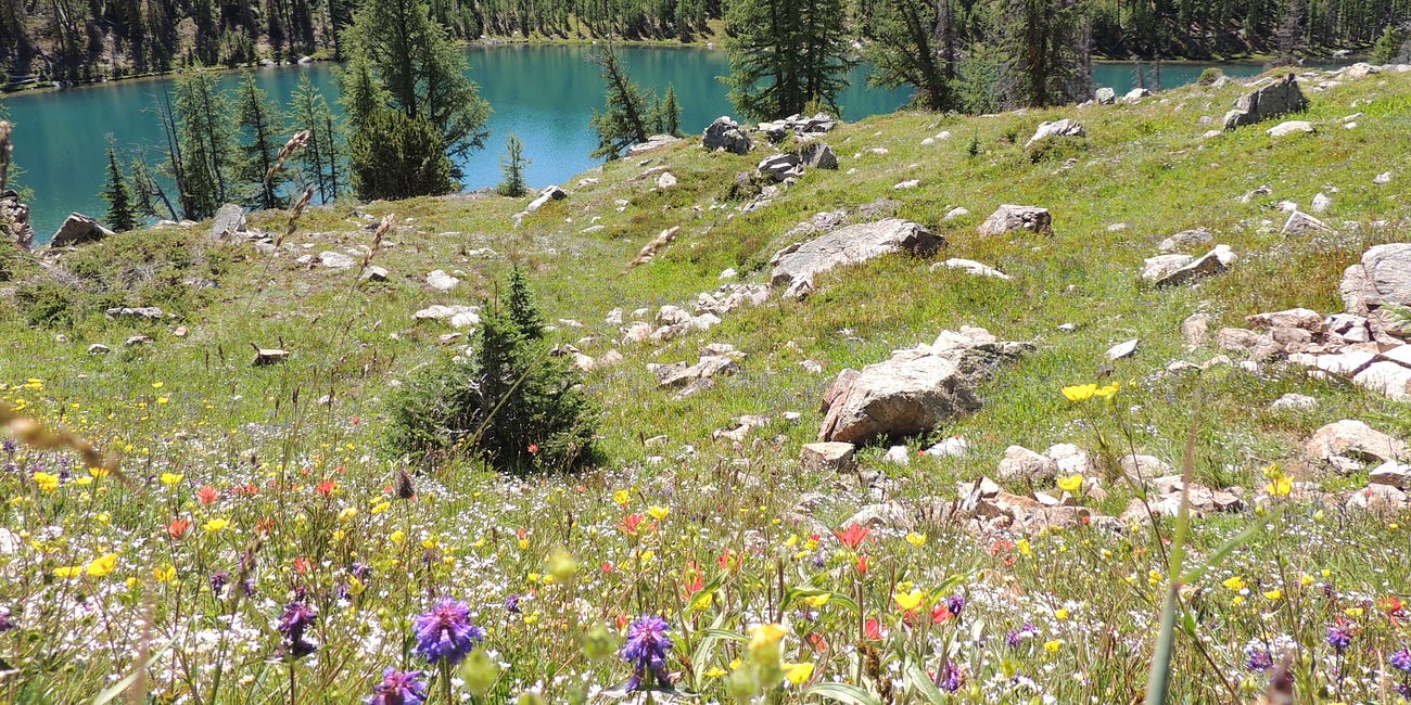Exploring The Beauty, Peace and Majesty of the Cathedral Lakes