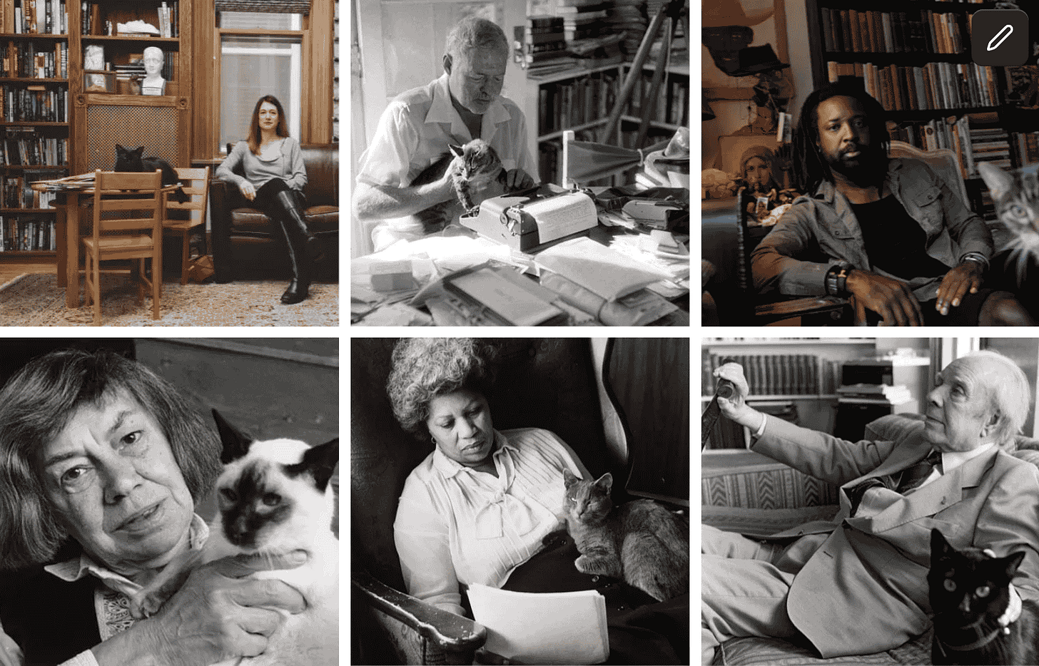 Gillian Flynn with a cat on the table next to her, Ernest Hemingway having his cat type for him, Marlon James with his cat peeking around the corner, Patricia Highsmith with her Siamese cat, Toni Morrison reading a manuscript with her Blue Russian cat on her lap, Jorge Luis Borges with his black cat on the couch next to him Gillian Flynn with a cat on the table next to her, Ernest Hemingway having his cat type for him, Marlon James with his cat peeking around the corner, Patricia Highsmith with her Siamese cat, Toni Morrison reading a manuscript with her Blue Russian cat on her lap, Jorge Luis Borges with his black cat on the couch next to him