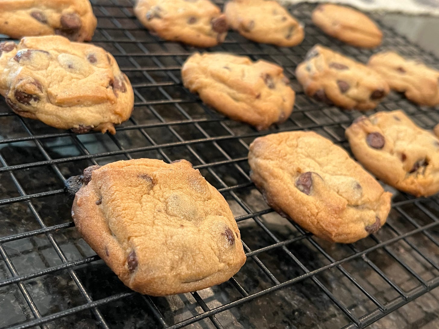 Chocolate chip cookies cooling on a black wire rack